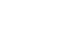 NSG Logo